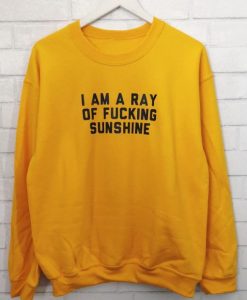 I am a ray of fucking sunshine sweatshirt