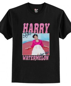 Harry Styles Unisex watermelon sugar high T-Shirt AI