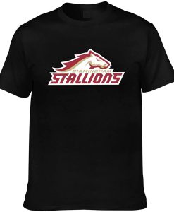 Birmingham Stallion black T-shirt AI